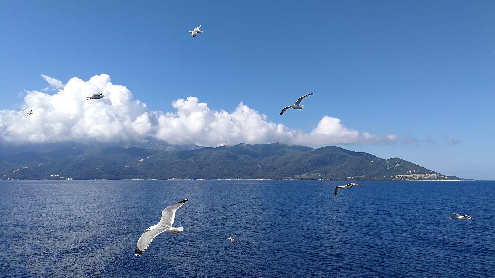 Wakacje na Thassos