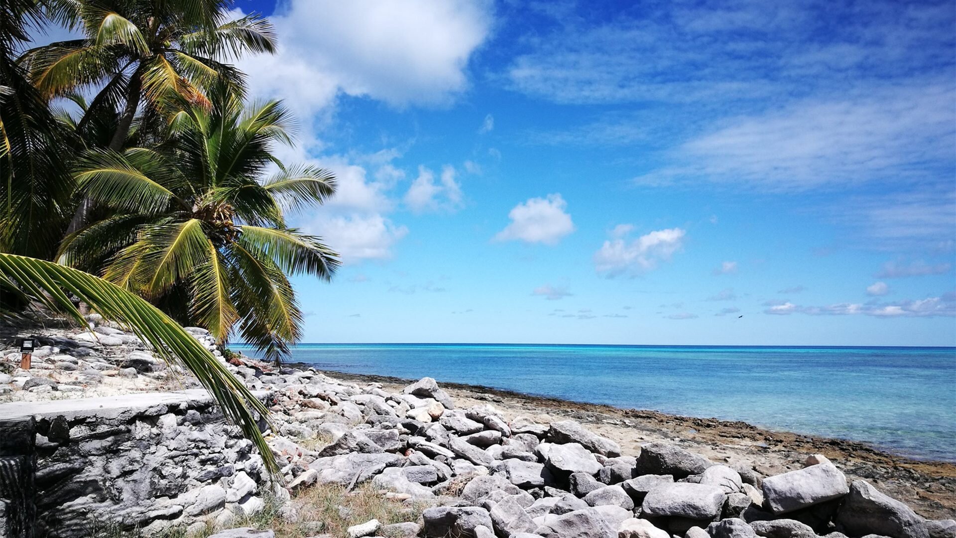 Plaża i palmy na Nosy Be, Madagaskar