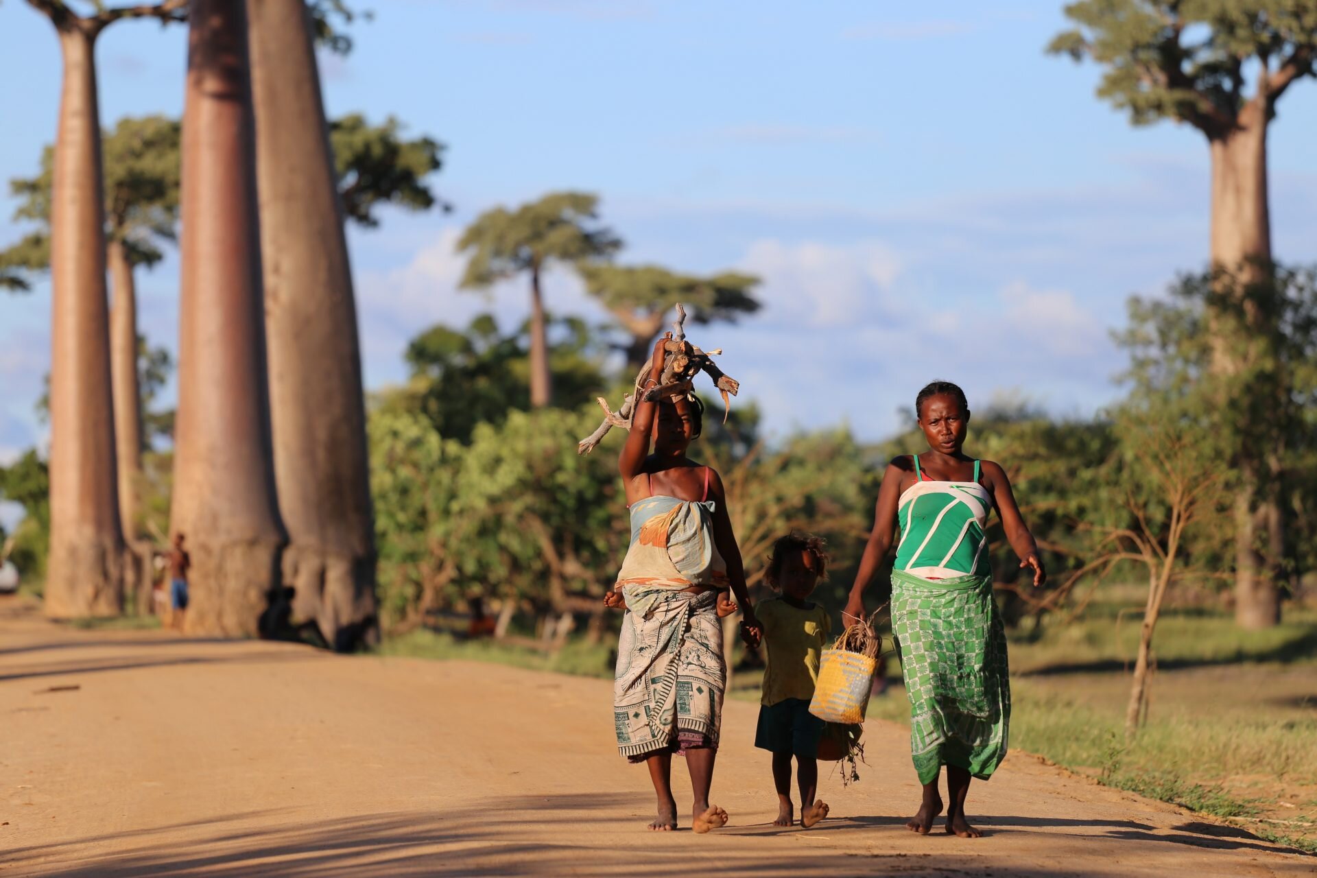 malgasze spacerują aleją baobabów na Madagaskarze