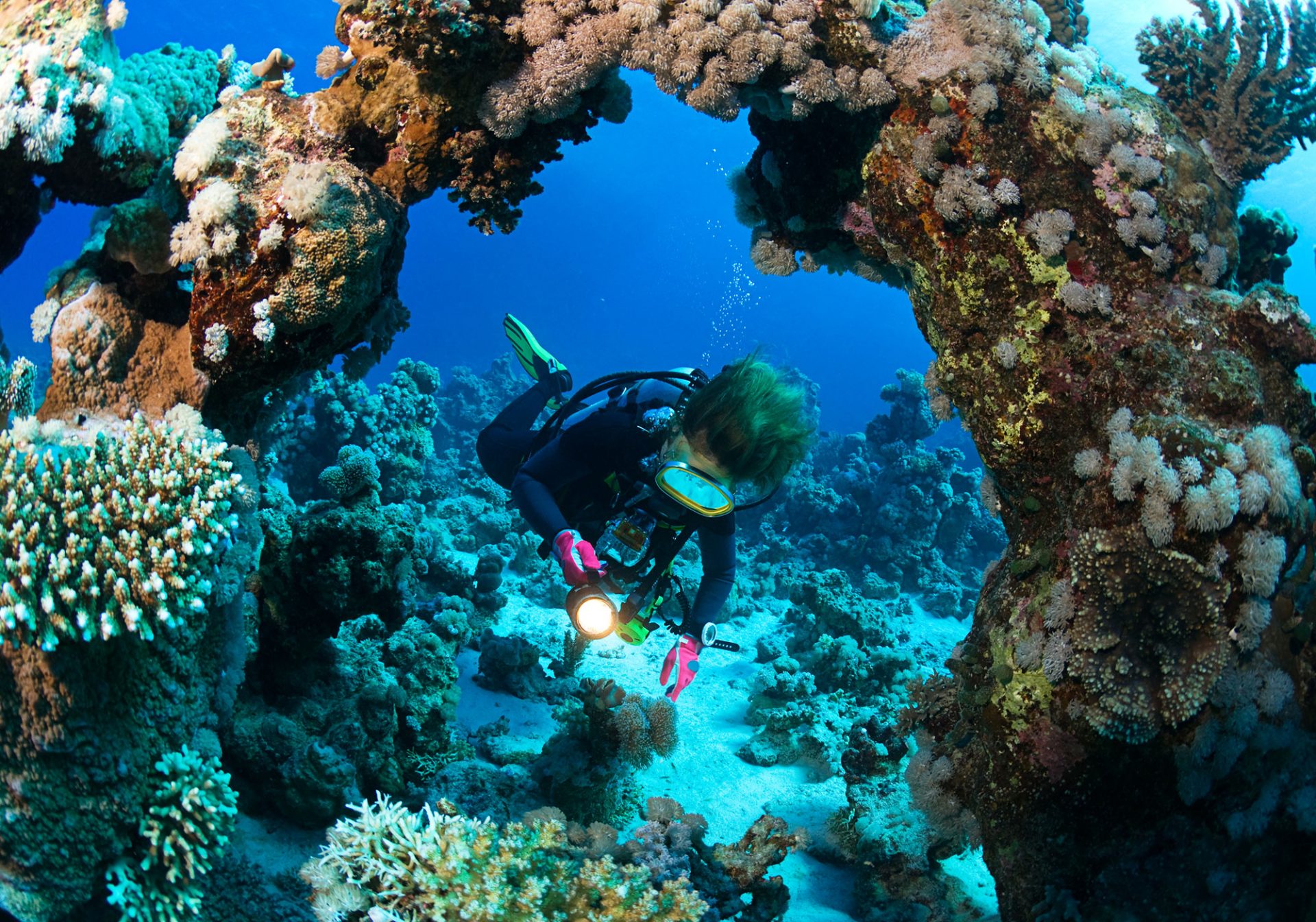 nurkowanie, rafa koralowa, podwodne życie