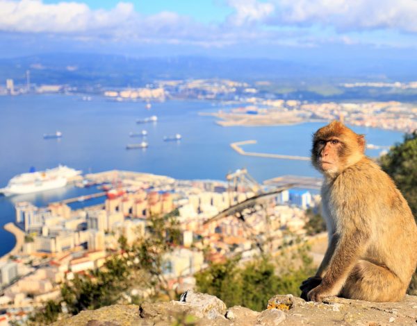 Gibraltar – o spełnianiu dziecięcych marzeń