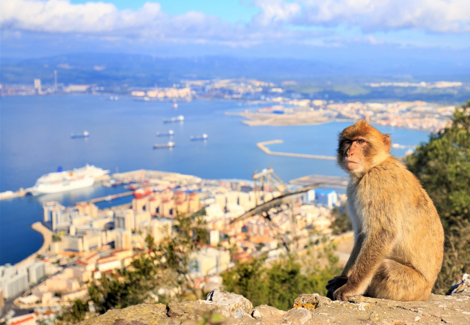 Gibraltar, Skała Gibraltarska, Magoty, Wielka Brytania, spełnianie marzeń, wycieczka, blog itaki