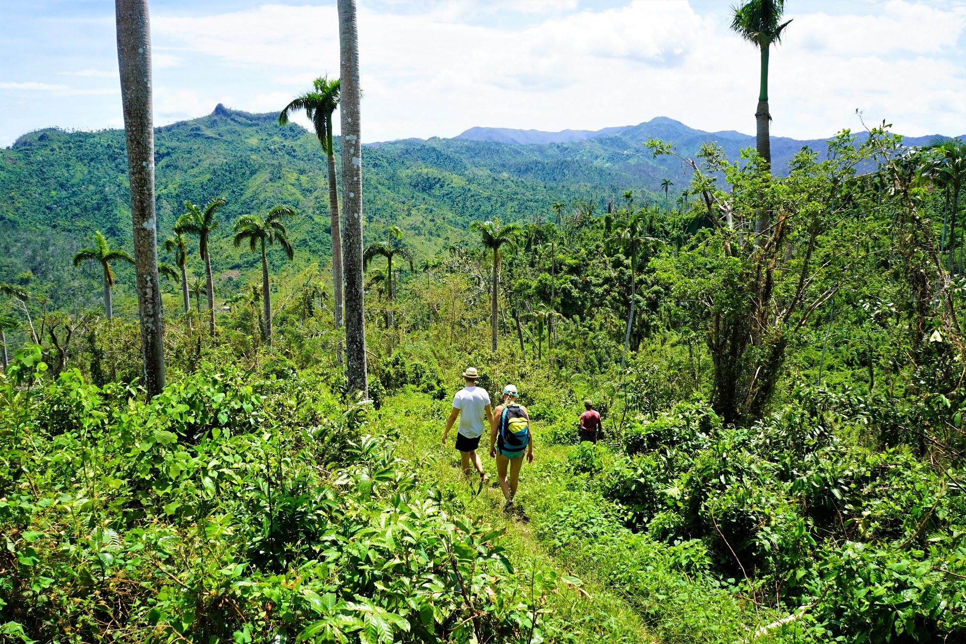 Baracoa, lasy tropikalne na Kubie, aktywny wypoczynek, miejsce na trekking