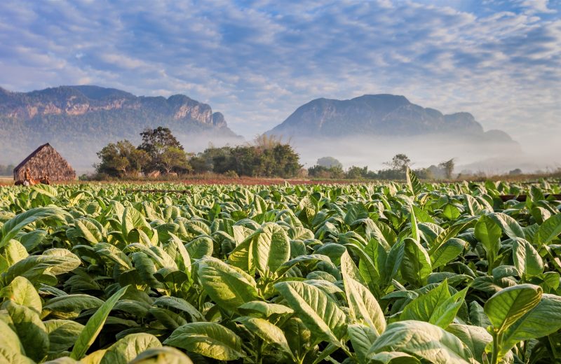 TOP 10 miast na Kubie, które musisz odwiedzić! Cz. 2