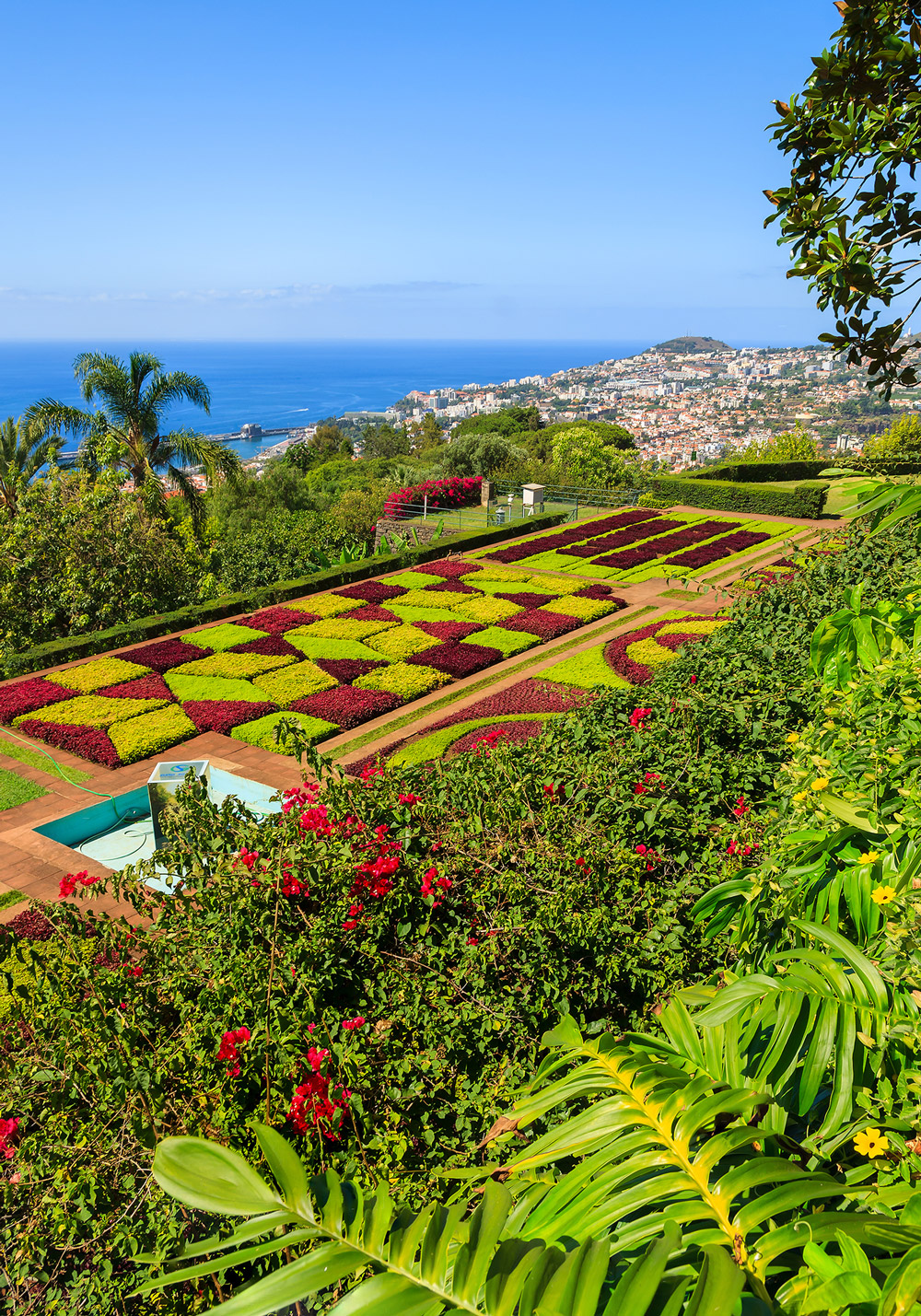 Ogród botaniczny w Funchal