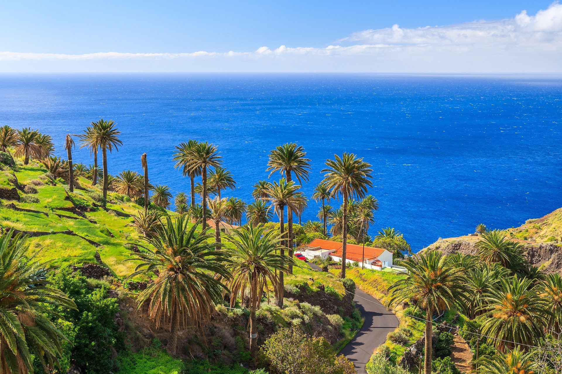 Ocean atlantycki i roślinność na La Gomera na Wyspach Kanaryjskich