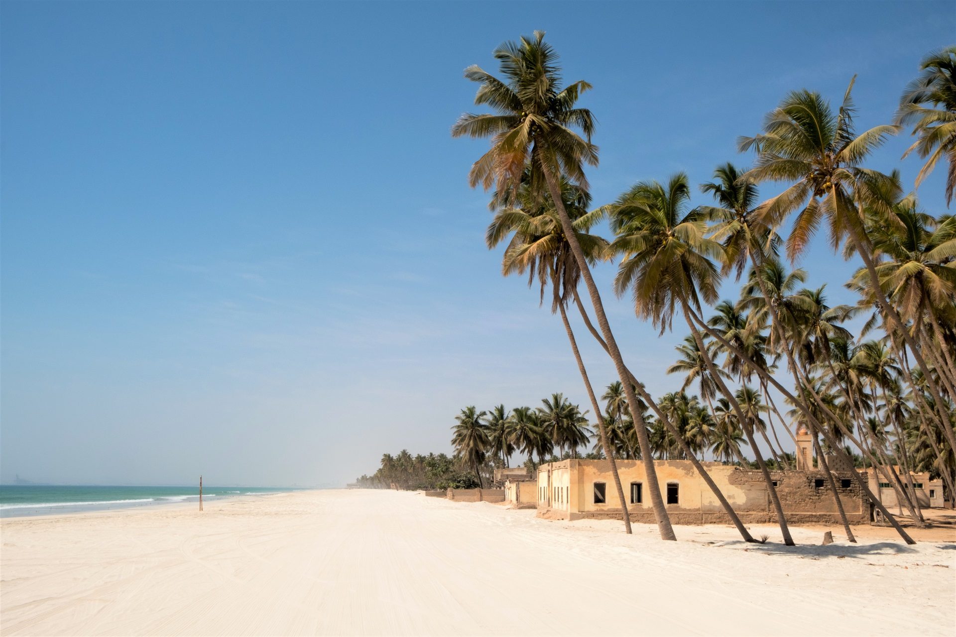 Piękna biała plaża i palmy kokosowe w Salalah w Omanie