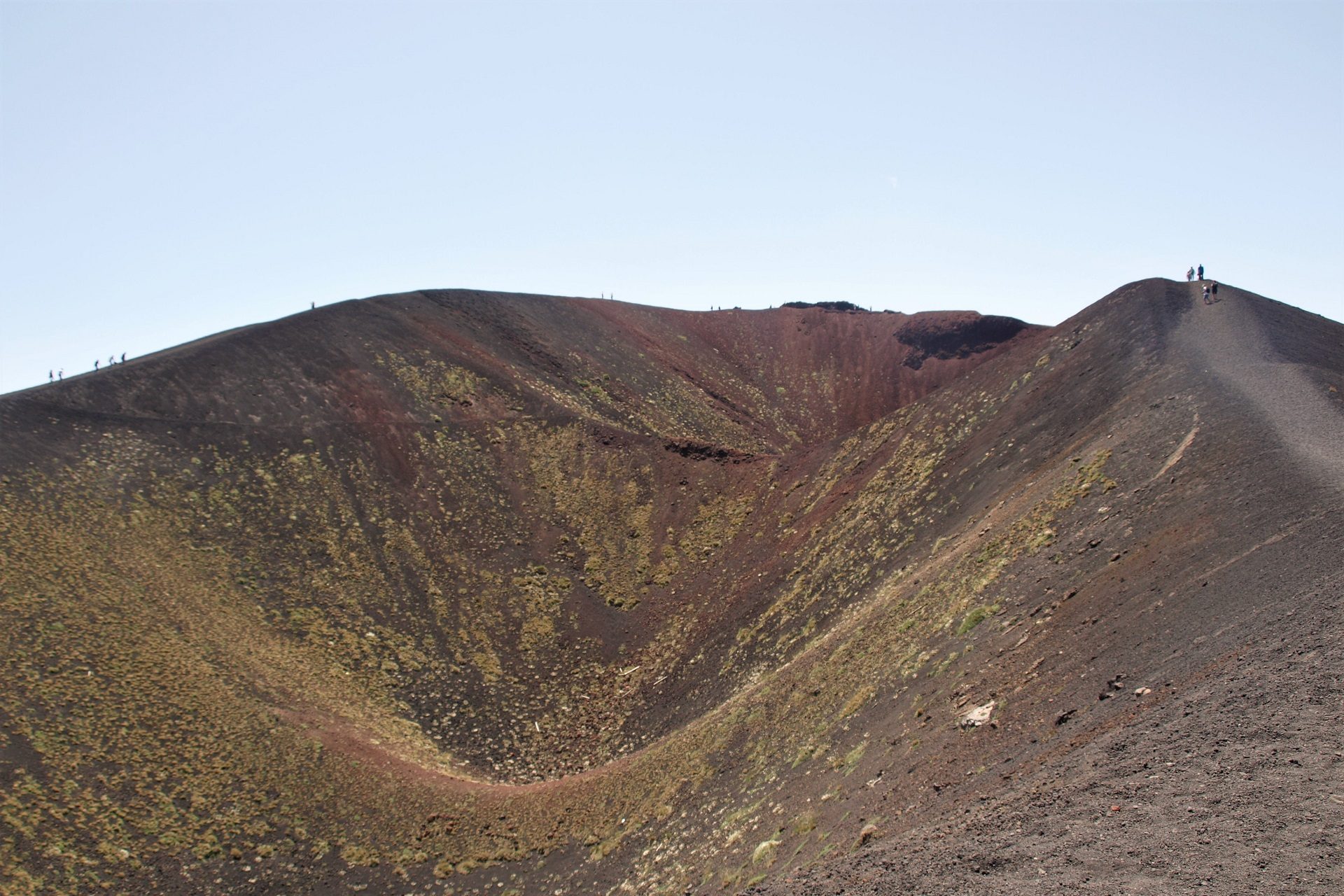 brunatno-czarna skała wulkaniczna i przebijająca się roślinoość na wulkanie Etna na Sycylii