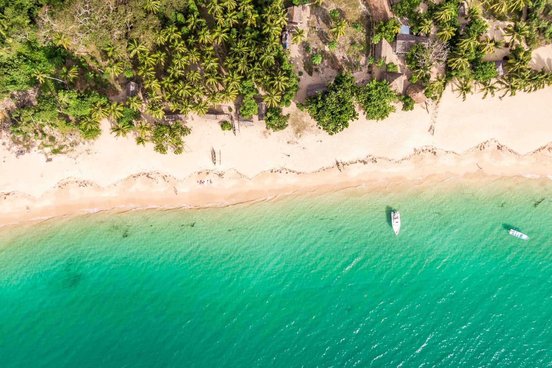 Widok z lotu ptaka na ocean palmy i piękna plażę na Madagaskarze