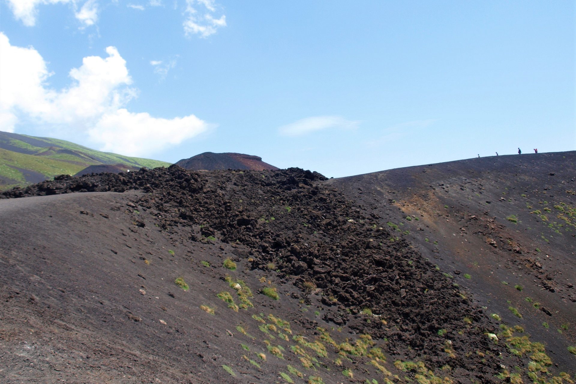 Przebijająca się gdzieniegdzie przez wulkaniczne sały roślinność u stóp wulkanu Etna na Sycylii