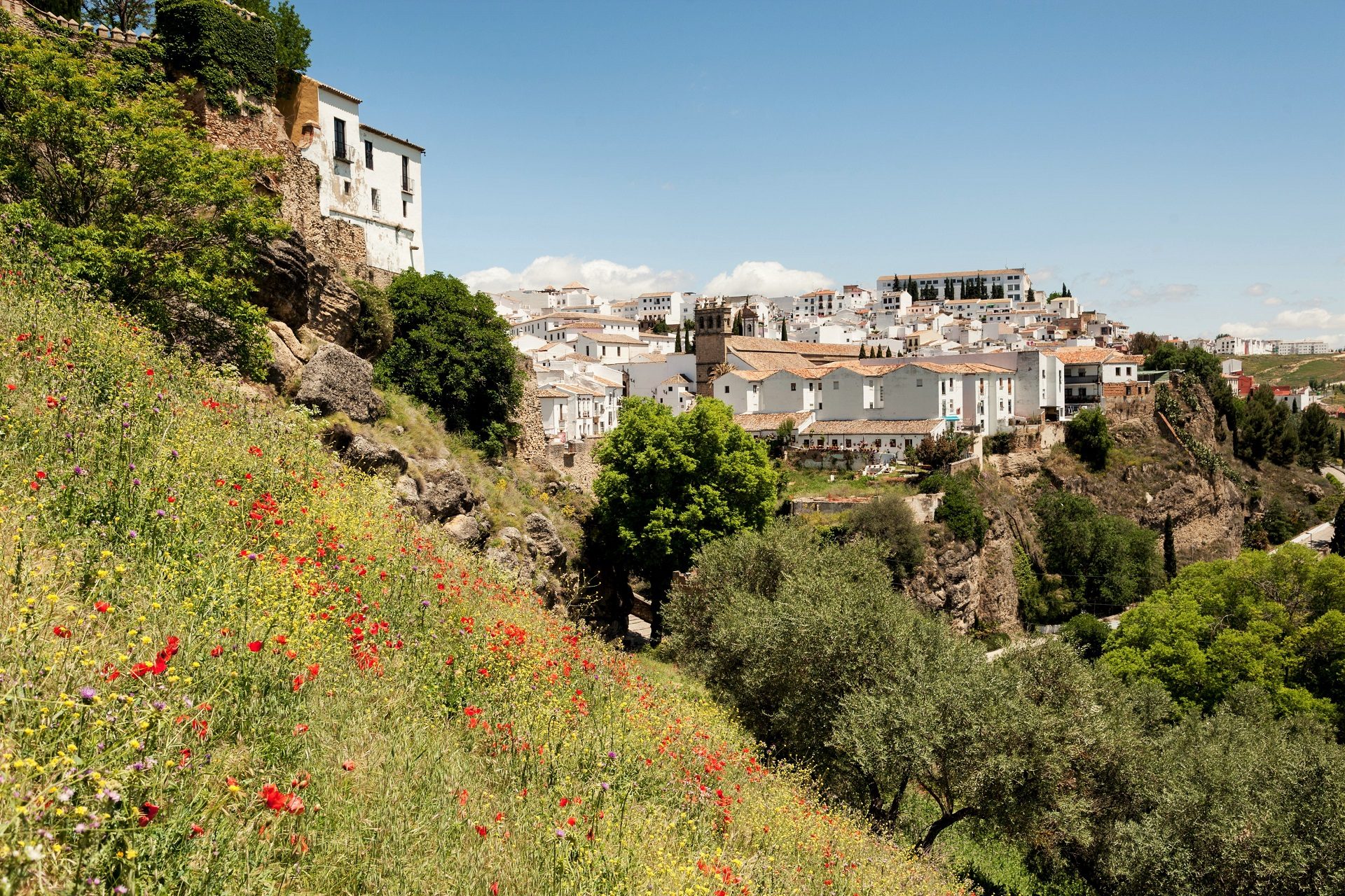 Widok na Rondę w Andaluzji w Hiszpanii