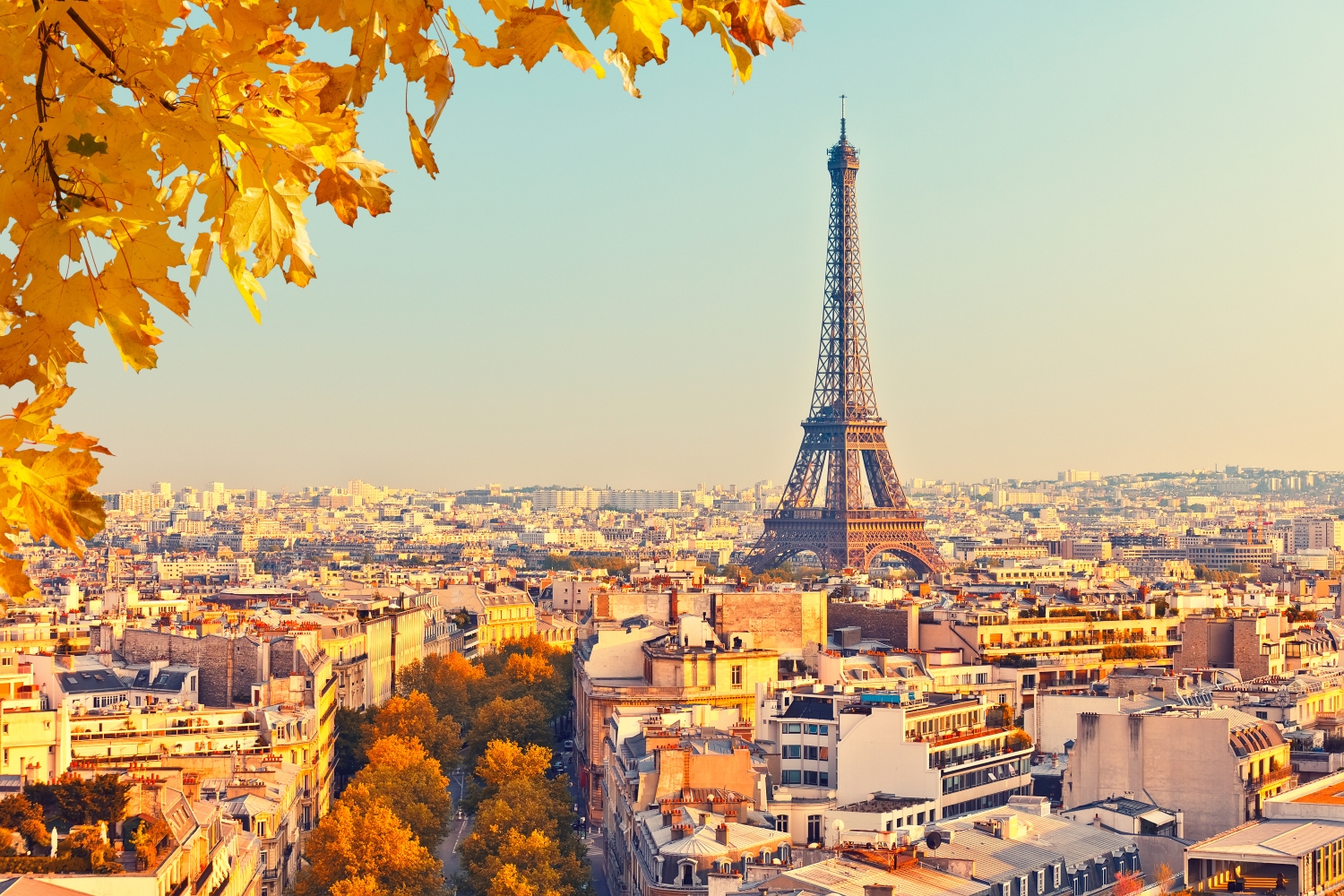 widok na wieżę Eiffla, Paryż, Francja