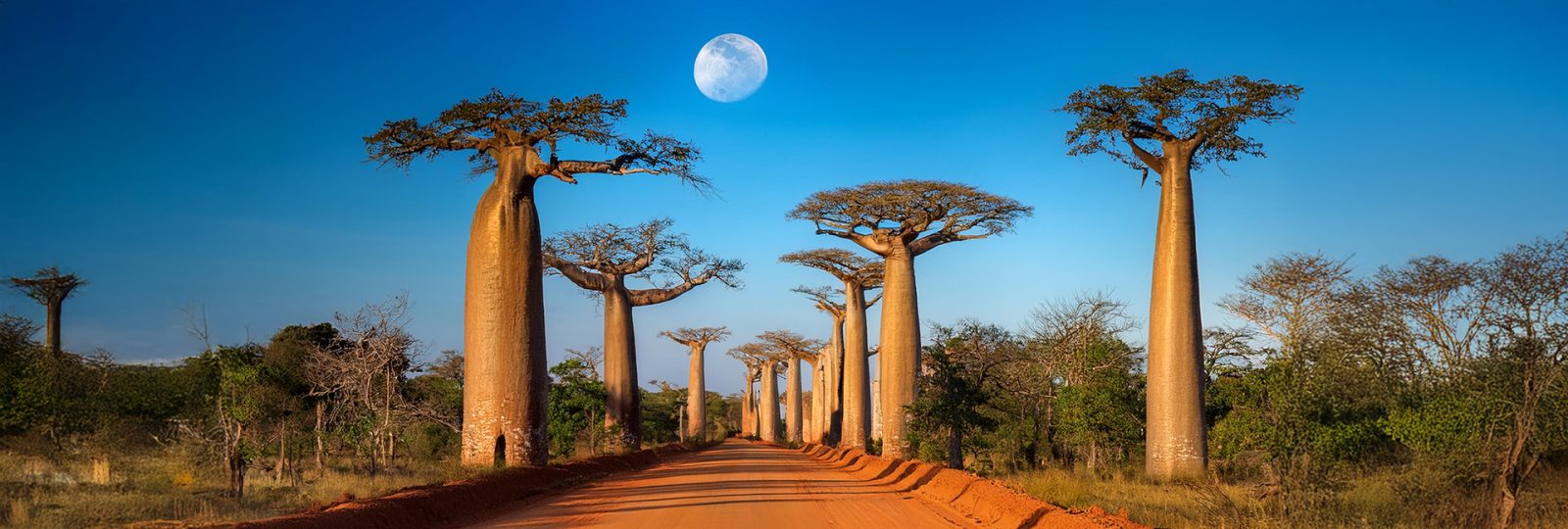Madagaskar i historia polskiego króla