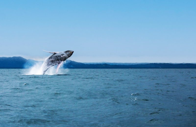 Dominikana – co warto zobaczyć?