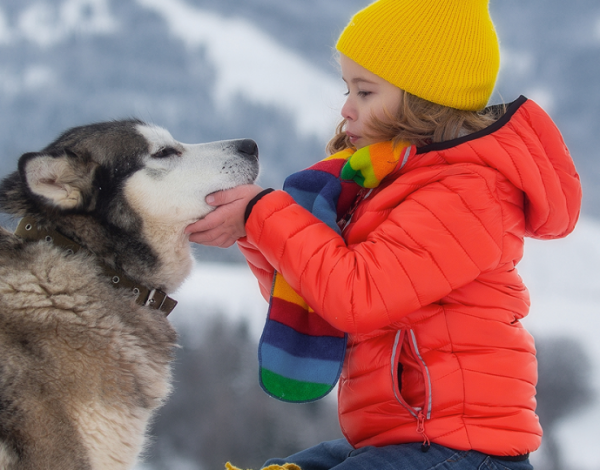 Ferie podkarpackie 2026 – kiedy, atrakcje 