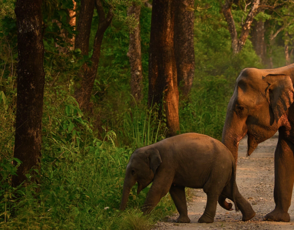 Pogoda w Indiach – kiedy jechać, żeby uniknąć deszczu?