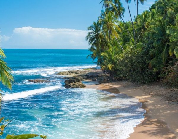 Niezwykła Kostaryka – co zobaczyć w tym dziewiczym otoczeniu? 