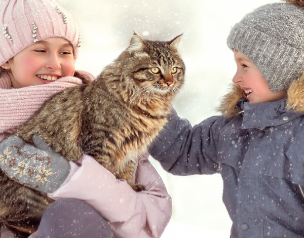 Ferie wielkopolskie 2026 – kiedy, atrakcje