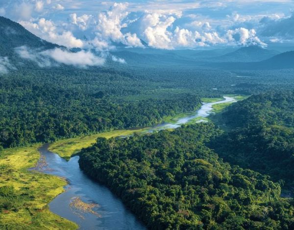 Puszcza amazońska – co w niej niezwykłego?