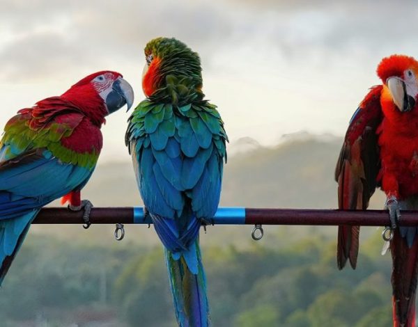 Co zobaczyć w Kolumbii? 