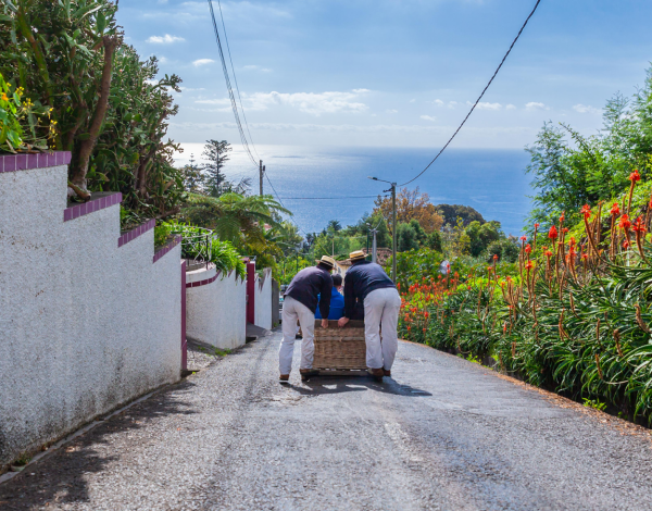 Funchal – co zobaczyć? Najciekawsze atrakcje stolicy Madery 